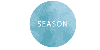 THE SEASONS