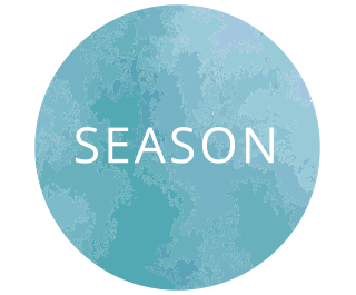 THE SEASONS