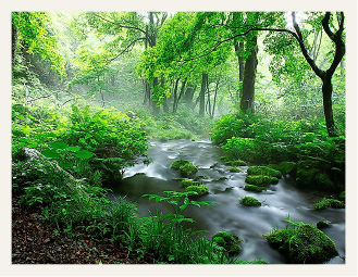 Developing the Okudaisen brand: famous as the “Village of a Forest, Water and Fruit”