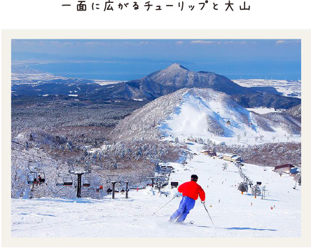 一面に広がるチューリップと大山