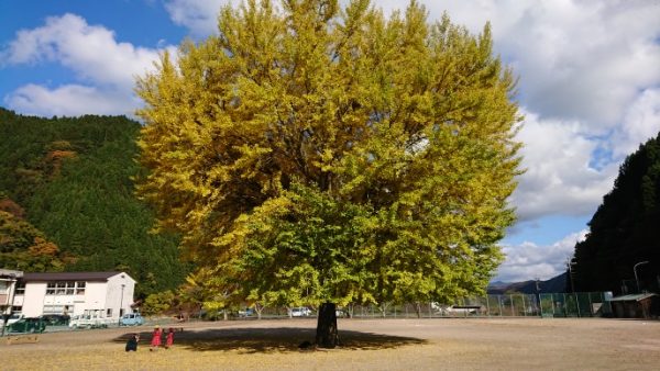 日南町の野山も素敵なドレスを着ています