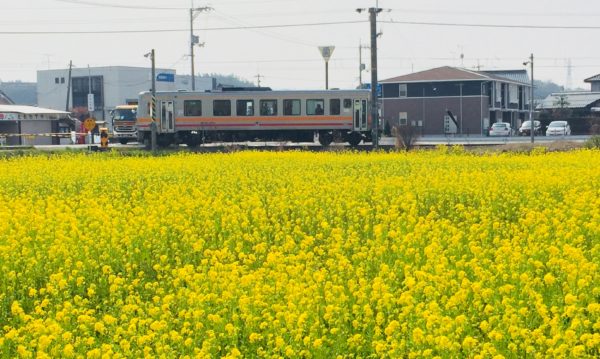 カメラ女子必見！！期間限定“春の列車撮影”と写真美術館