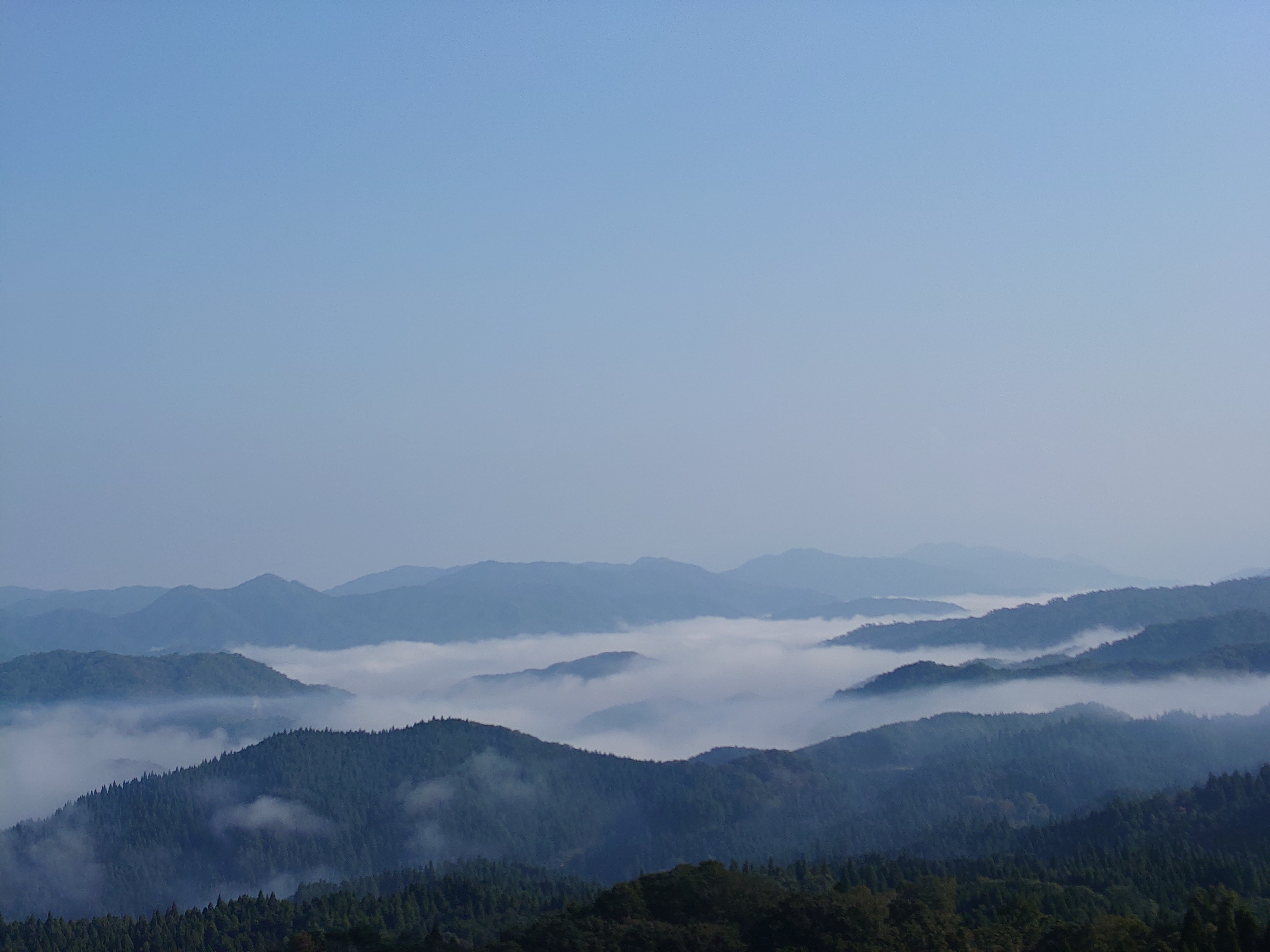 雲海の季節になりました。