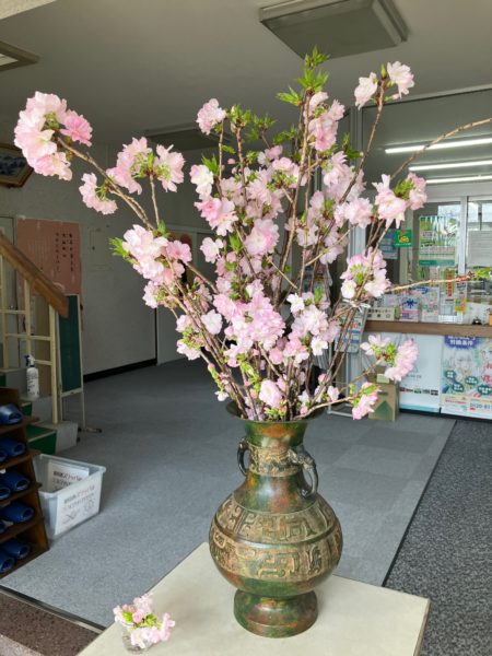 玄関が明るくなる大山町の小さな「春」見つけた♪