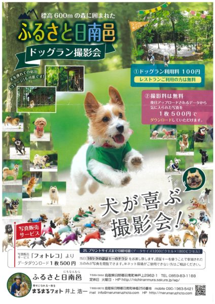 【日南町】犬が喜ぶ撮影会！標高600Mの森に囲まれたドッグラン撮影会