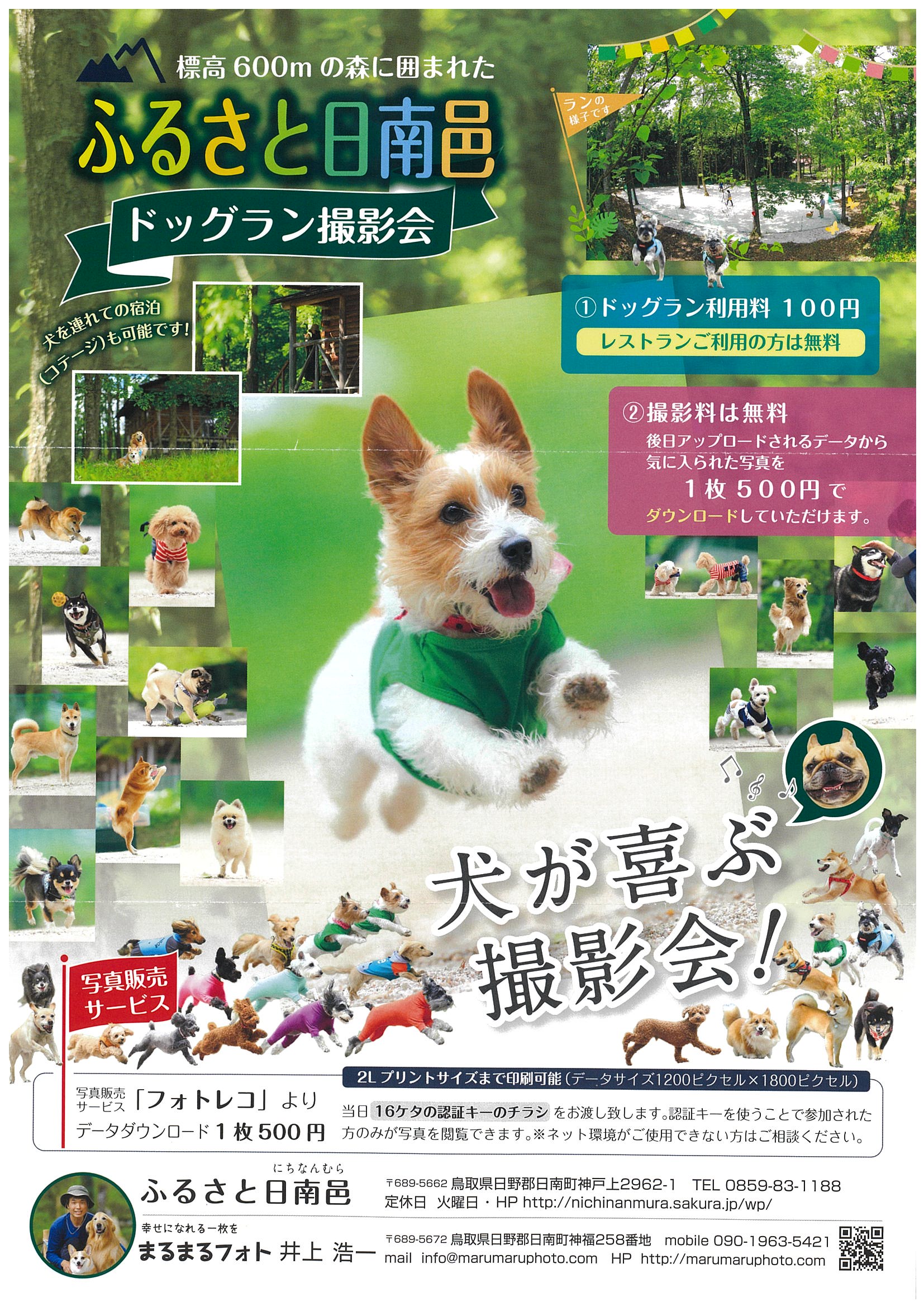日南町】犬が喜ぶ撮影会！標高600Mの森に囲まれたドッグラン撮影会